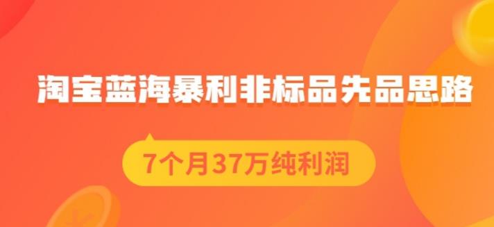 盗坤淘宝蓝海暴利非标品先品思路，7个月37万纯利润，压箱干货分享！【付费文章】-天天资源网