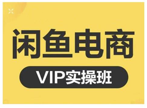 闲鱼电商零基础入门到进阶VIP实战课程，帮助你掌握闲鱼电商所需的各项技能-天天资源网