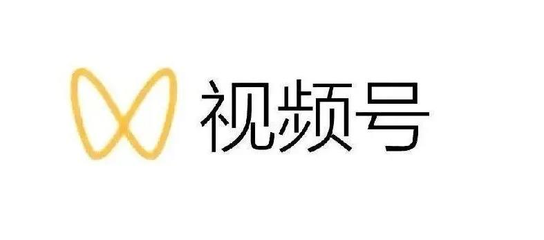 最新视频号解读，视频号真相 变现玩法【视频课程】-天天资源网