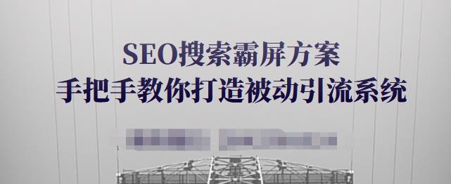 SEO搜索霸屏方案，手把手教你打造被动引流系统【视频课程】-天天资源网