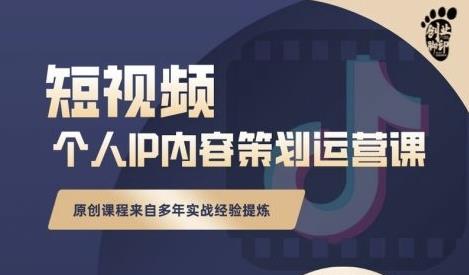 抖音短视频个人ip内容策划实操课，真正做到普通人也能实行落地-天天资源网