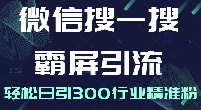 微信搜一搜霸屏引流课，打造被动精准引流系统，轻松日引300行业精准粉【无水印】-天天资源网