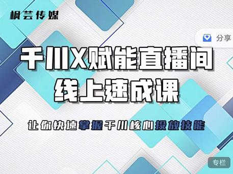 枫芸传媒-线上千川提升课，提升千川认知，提升千川投放效果-天天资源网