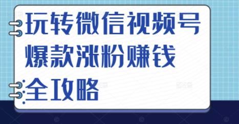 玩转微信视频号爆款涨粉赚钱全攻略，让你快速抓住流量风口，收获红利财富-天天资源网