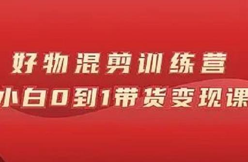 万三好物混剪训练营：小白0到1带货变现课-天天资源网