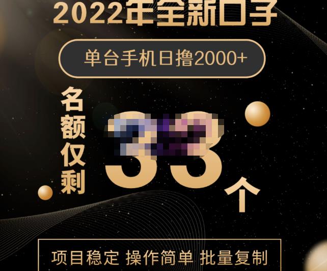 2022年全新口子，手机批量搬砖玩法，一部手机日撸2000-天天资源网