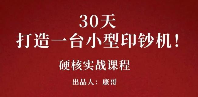 康哥30天打造一台小型印钞机：躺赚30万的项目完整复盘（视频教程）-天天资源网