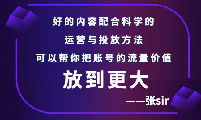 张sir账号流量增长课，告别海王流量，让你的流量更精准-天天资源网