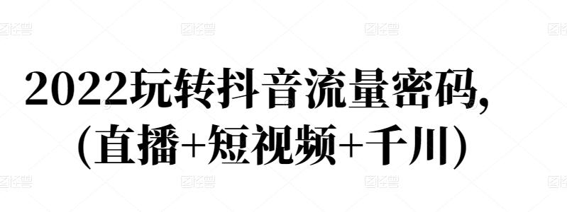 2022玩转抖音流量密码，(直播 短视频 千川)-天天资源网