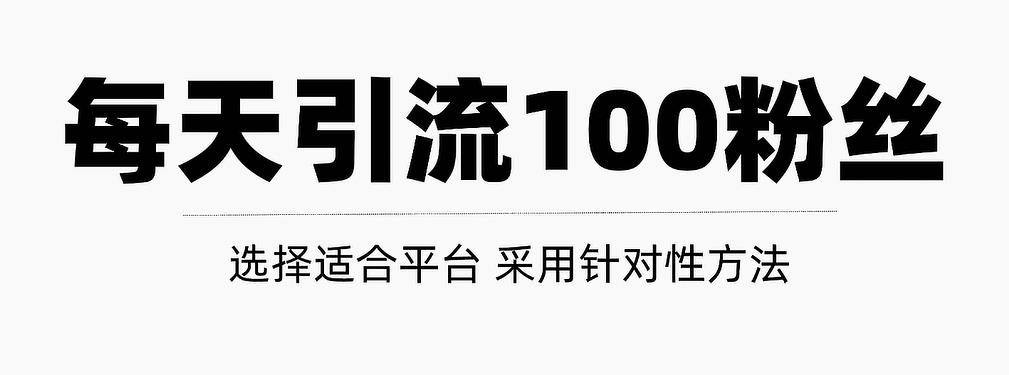 只需要做好这几步，就能让你每天轻松获得100 精准粉丝的方法！【视频教程】-天天资源网