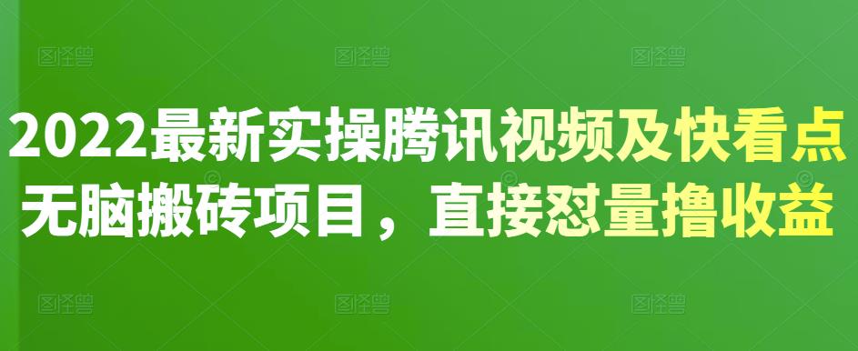 2022最新实操腾讯视频及快看点无脑搬砖项目，直接怼量撸收益-天天资源网