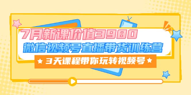 微信视频号直播带货训练营，3天课程带你玩转视频号：7月新课价值3980-天天资源网