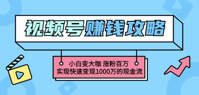 玩转微信视频号赚钱：小白变大咖涨粉百万实现快速变现1000万的现金流-天天资源网