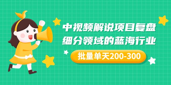 某付费文章：中视频解说项目复盘：细分领域的蓝海行业 批量单天200-300收益-天天资源网