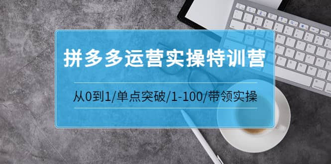 拼多多运营实操特训营：从0到1/单点突破/1-100/带领实操 价值2980元-天天资源网