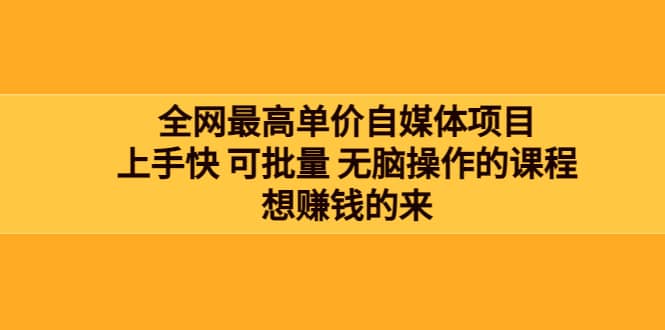 全网最单高价自媒体项目：上手快 可批量 无脑操作的课程，想赚钱的来-天天资源网