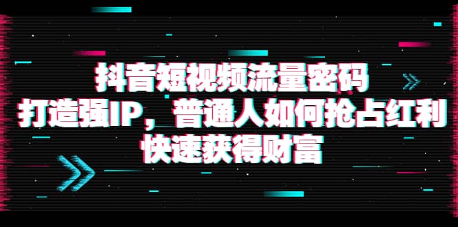 抖音短视频流量密码：打造强IP，普通人如何抢占红利，快速获得财富-天天资源网