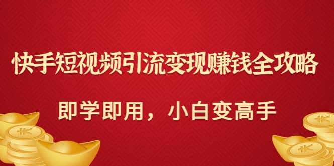 快手短视频引流变现赚钱全攻略：即学即用，小白变高手（价值980元）-天天资源网