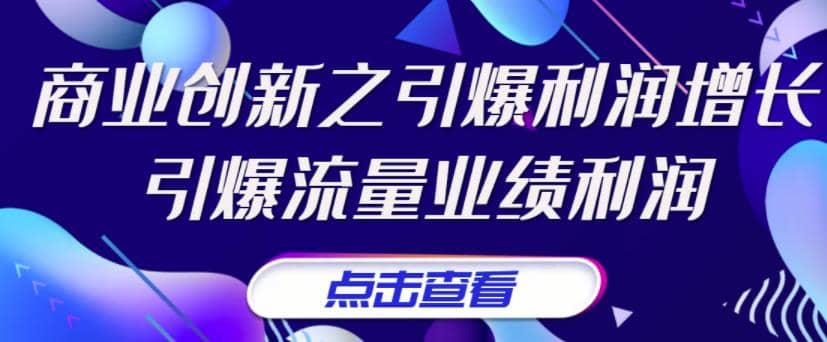 《商业创新之引爆利润增长》引爆流量业绩利润-天天资源网