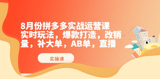 8月份拼多多实战运营课，实时玩法，爆款打造，改销量，补大单，AB单，直播-天天资源网