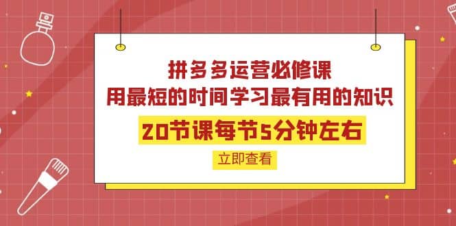 拼多多运营必修课：20节课每节5分钟左右，用最短的时间学习最有用的知识-天天资源网