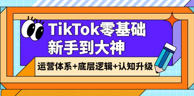 TikTok零基础新手到大神：运营体系 底层逻辑 认知升级（9节系列课）-天天资源网