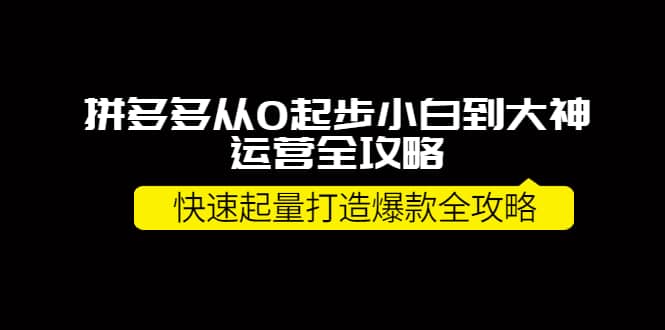 拼多多从0起步小白到大神运营全攻略-天天资源网