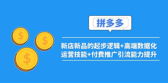 2022拼多多：新店新品的起步逻辑 高端数据化运营技能 付费推广引流能力提升-天天资源网