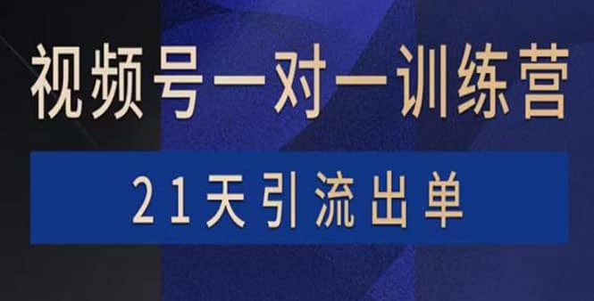 视频号训练营：带货，涨粉，直播，游戏，四大变现新方向，21天引流出单-天天资源网