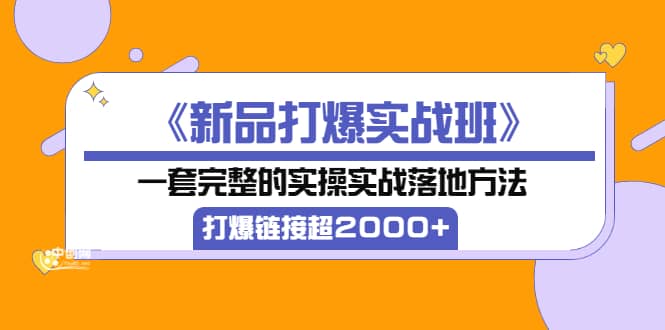 《新品打爆实战班》一套完整的实操实战落地方法，打爆链接超2000 （38节课)-天天资源网