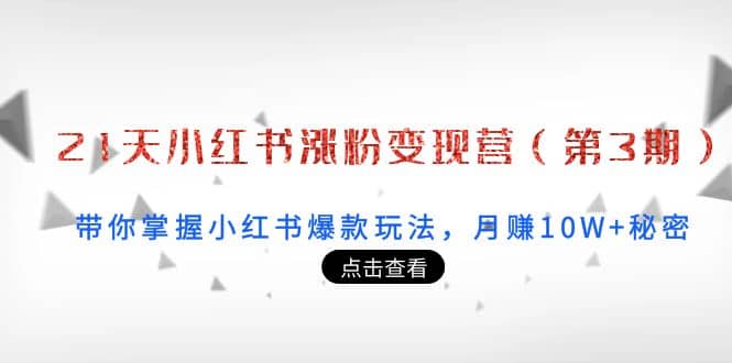 21天小红书涨粉变现营（第3期）：带你掌握小红书爆款玩法，月赚10W 秘密-天天资源网