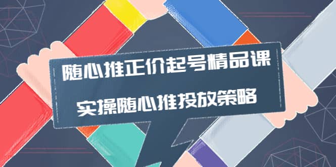 随心推正价起号精品课，实操随心推投放策略（5节课-价值298）-天天资源网