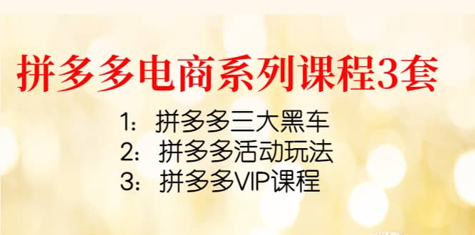 拼多多电商系列课程3套：拼多多三大黑车 拼多多活动玩法 拼多多VIP课程-天天资源网