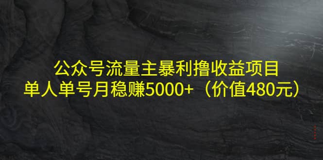 公众号流量主暴利撸收益项目，单人单号月稳赚5000 （价值480元）-天天资源网