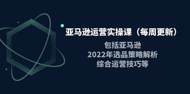 亚马逊运营实操课（每周更新）包括亚马逊2022选品策略解析，综合运营技巧等-天天资源网