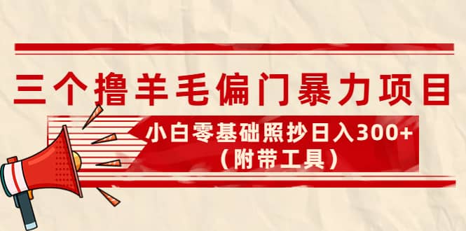 外面卖998的三个撸羊毛项目，小白零基础照抄（附带工具）-天天资源网