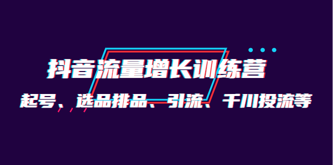 月销1.6亿实操团队·抖音流量增长训练营：起号、选品排品、引流 千川投流等-天天资源网