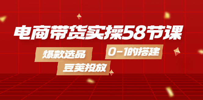 电商带货实操58节课，爆款选品，豆荚投放，0-1的搭建-天天资源网