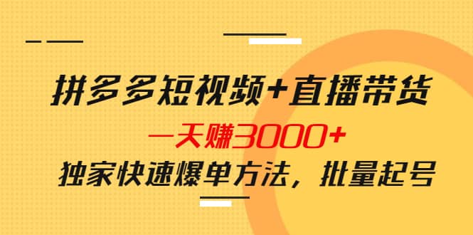 拼多多短视频 直播带货，一天赚3000 独家快速爆单方法，批量起号-天天资源网