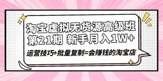 淘宝虚拟无货源高级班【第21期】运营技巧 批量复制=会赚钱的淘宝店-天天资源网