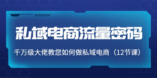 私域电商流量密码：千万级大佬教您如何做私域电商（12节课）-天天资源网