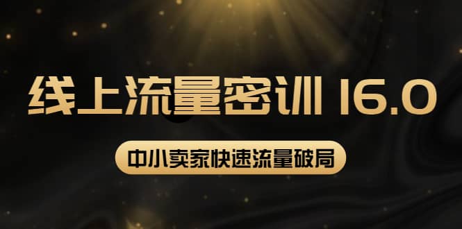 2022秋秋线上流量密训16.0：包含 暴力引流10W 中小卖家流量破局技巧 等等！-天天资源网