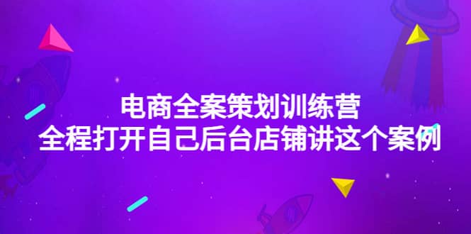 电商全案策划训练营：全程打开自己后台店铺讲这个案例（9节课时）-天天资源网