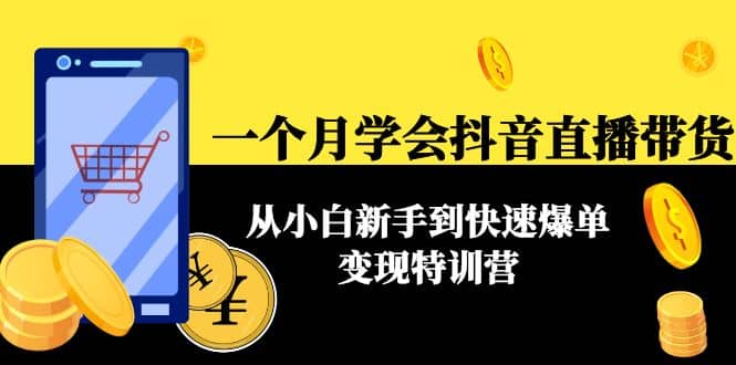 一个月学会抖音直播带货：从小白新手到快速爆单变现特训营(63节课)-天天资源网