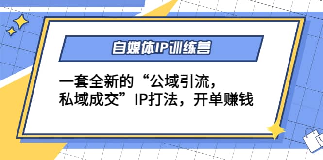 自媒体IP训练营(12 13期)一套全新的“公域引流，私域成交”IP打法-天天资源网