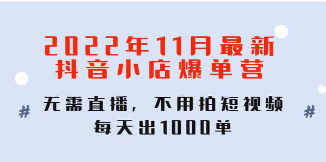 2022年11月最新抖音小店爆单训练营：无需直播，不用拍短视频，每天出1000单-天天资源网