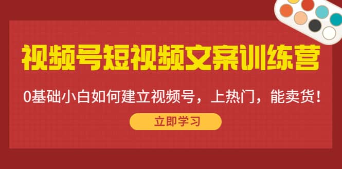 视频号短视频文案训练营：0基础小白如何建立视频号，上热门，能卖货！-天天资源网