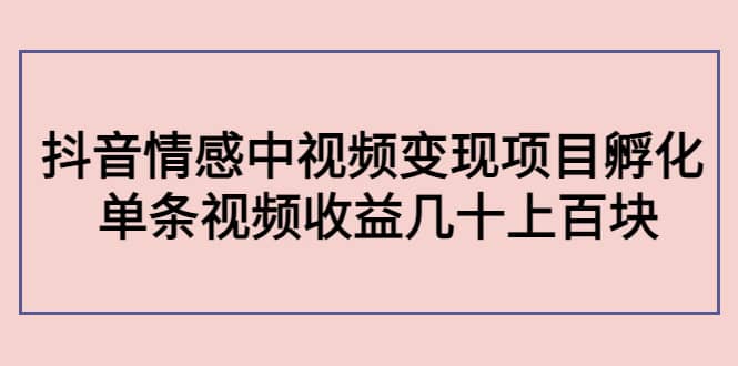 抖音情感中视频变现项目孵化-天天资源网