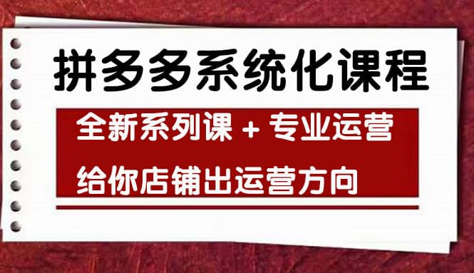 车神陪跑，拼多多系统化课程，全新系列课 专业运营给你店铺出运营方向-天天资源网