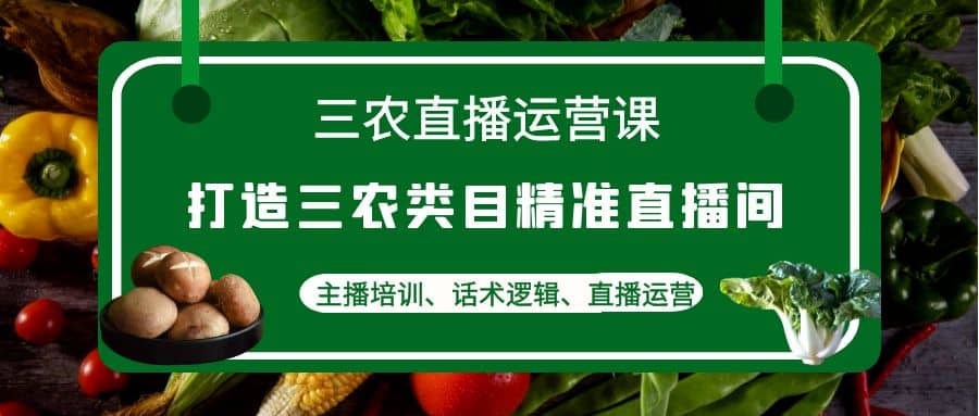 三农直播运营课：打造三农类目精准直播间，主播培训、话术逻辑、直播运营-天天资源网